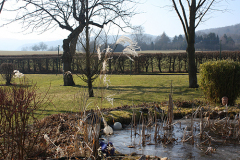 Der Gartenteich