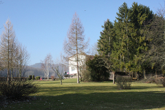 Garten und Haus von vorne